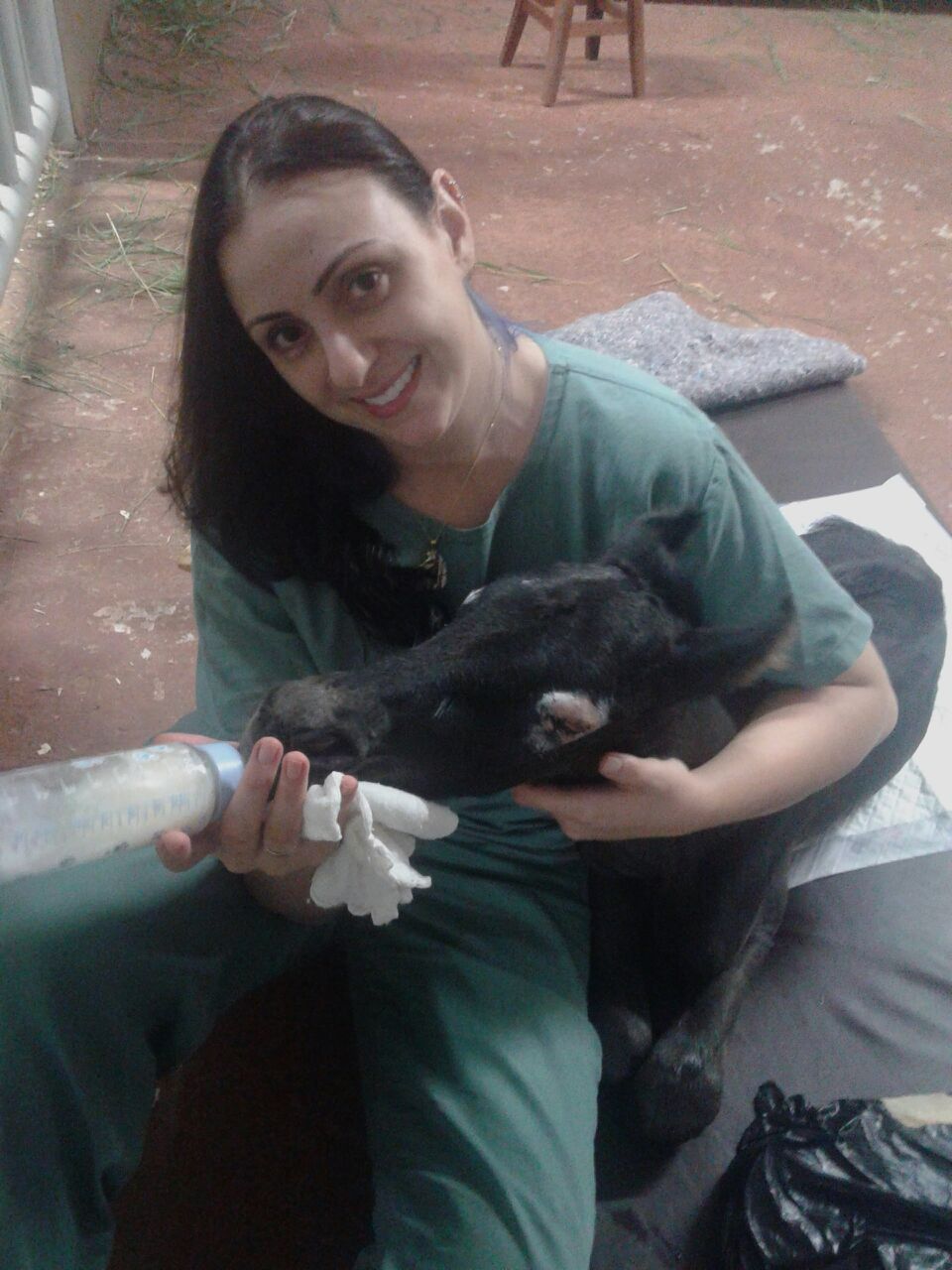 Conhecimento técnico veterinário